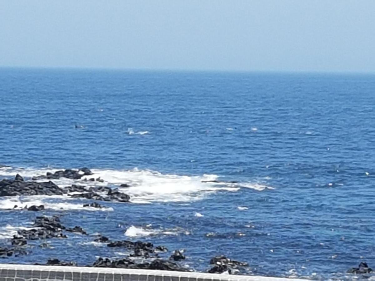 הוילה סאוגוויפו Jeju Amoje מראה חיצוני תמונה