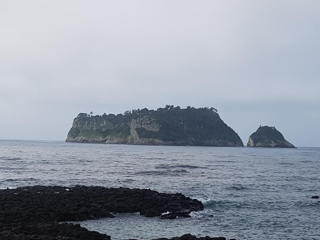 הוילה סאוגוויפו Jeju Amoje מראה חיצוני תמונה